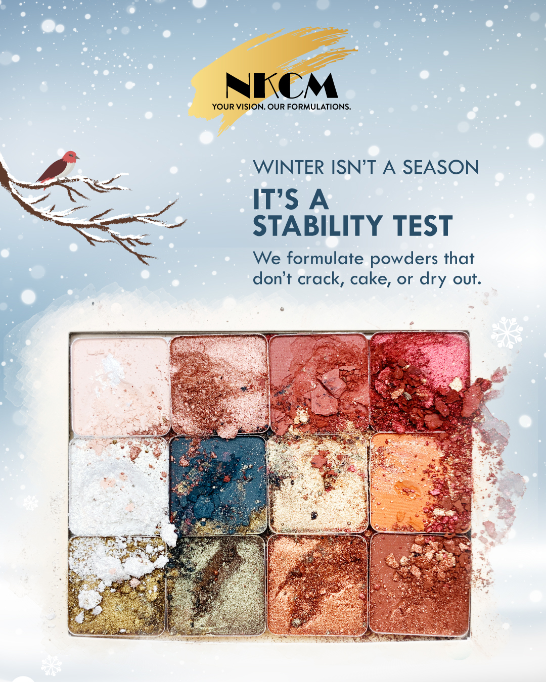 NK Cosmetics Marketing Case Study